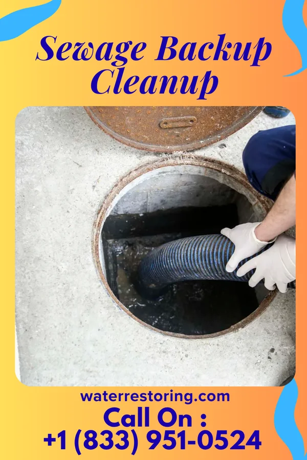 Sewage Backup Cleanup in East Port Orchard, WA